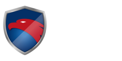 logo-seguranca-b